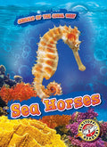 Sea Horses - Library Binding