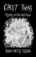 Ghost Twins: Mystery of One Wish Pond - Paperback