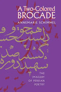A Two-Colored Brocade: The Imagery of Persian Poetry - Paperback