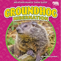Groundhog Hibernation - Library Binding