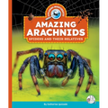Amazing Arachnids: Spiders and Their Relatives - Library Binding