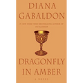 Dragonfly in Amber - Paperback