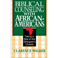 A Biblical Counseling with African-Americans: Taking a Ride in the Ethiopian's Chariot - Paperback