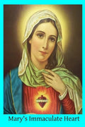 Mary's Immaculate Heart: The Meaning of Devotion to the Immaculate Heart of Mary - Paperback