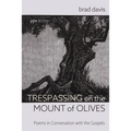Trespassing on the Mount of Olives: Poems in Conversation with the Gospels - Paperback