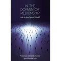 In the Domain of Mediumship: Life in the Spirit World - Paperback