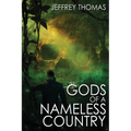 Gods of a Nameless Country - Paperback