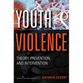 Youth Violence: Theory, Prevention, and Intervention - Paperback