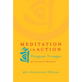 Meditation in Action - Paperback