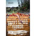 Sweet-Tango Terror: A Marc LaRose Mystery - Paperback