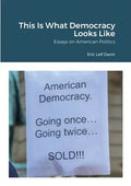 This Is What Democracy Looks Like: Essays on American Politics - Paperback