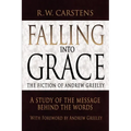 Falling Into Grace: The Fiction of Andrew Greeley: A Study of the Message Behind the Words - Paperback