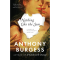 Nothing Like the Sun: A Story of Shakespeare's Love-Life - Paperback