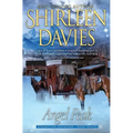 Angel Peak - Paperback