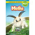 Moths: Backyard Bugs and Creepy-Crawlies (Engaging Readers, Level Pre-1) - Paperback
