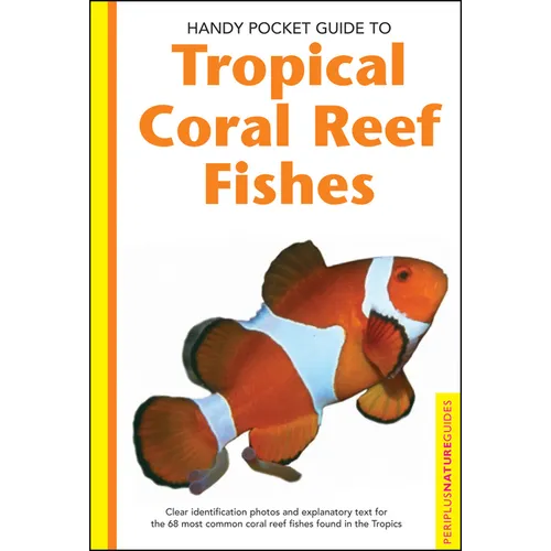 Tropical Coral Reef Fishes - Paperback