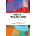 Africa in a Multilateral World: Afropolitan Dilemmas - Paperback