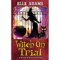 Witch on Trial - Paperback