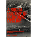 A Social History of Economic Decline: Business, Politics, and Work in Trenton - Paperback