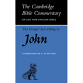 The Gospel According to John - Paperback