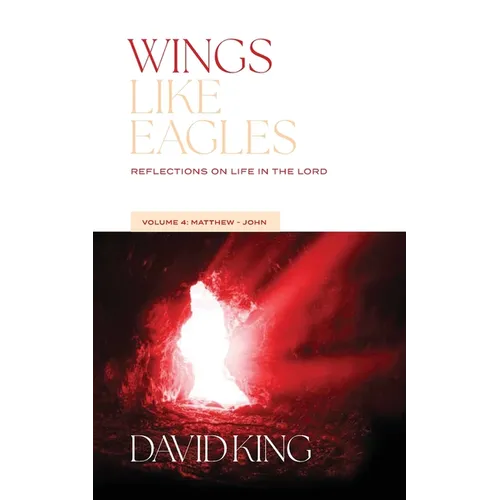 Wings Like Eagles: Reflections on Life in the Lord Vol. 4: Matthew-John - Paperback