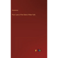 Poor Laws of the State of New York - Hardcover