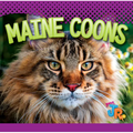 Maine Coons - Library Binding