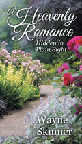 A Heavenly Romance: Hidden in Plain Sight - Paperback