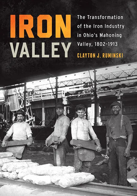 Iron Valley: The Transformation of the Iron Industry in Ohio's Mahoning Valley, 1802-1913 - Paperback
