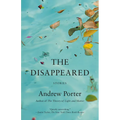 The Disappeared: Stories - Paperback