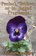 Perfect, Broken or in Jagged Fragments - Paperback