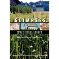 Glimpses - Iowa's Rural Legacy - Paperback