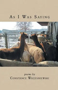 As I Was Saying - Paperback