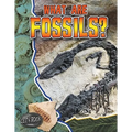 What Are Fossils? - Paperback