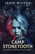 Camp Stonetooth - Paperback