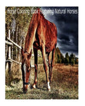 Magical Horses Colouring-In: Horse coloring book featuring natural Horses - Paperback