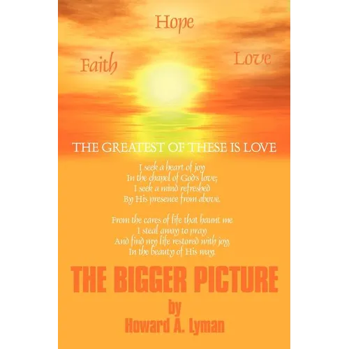 The Bigger Picture - Paperback
