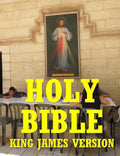 Holy Bible - Paperback