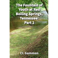 The Fountain of Youth at Red Boiling Springs, Tennessee: Part 2 - Paperback