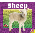 Sheep - Library Binding