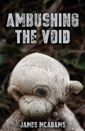 Ambushing the Void - Paperback