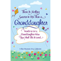 There Is Nothing Sweeter in Life Than a Granddaughter - Paperback