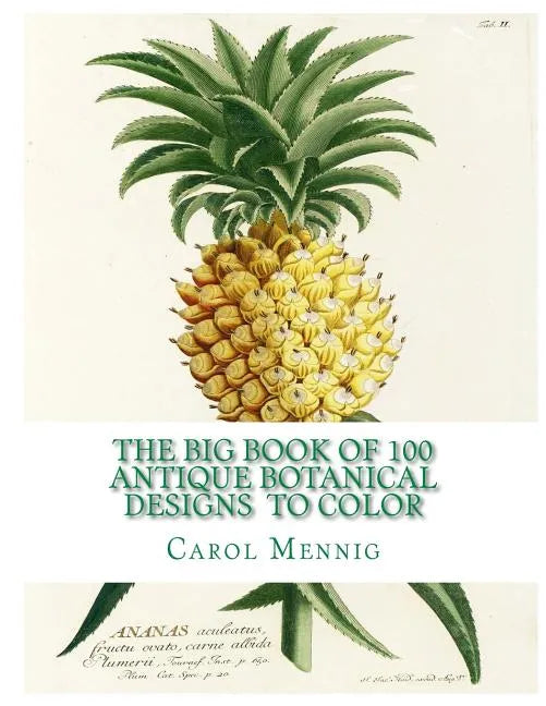 The Big Book of 100 Botanical Designs to Color - Paperback
