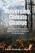 Reversing Climate Change: How Carbon Removals Can Resolve Climate Change and Fix the Economy - Hardcover