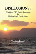 Disillusions: A Spiritual GPS For the Journeyer & The Real New World Order - Paperback