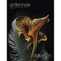 Antennae #65 Dataism - Paperback