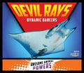 Devil Rays: Dynamic Dancers: Dynamic Dancers - Library Binding
