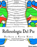 Reflexologia Del Pie: Una Alternative Natural Para Cuidar La Salud - Paperback