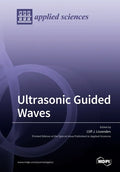 Ultrasonic Guided Waves - Paperback