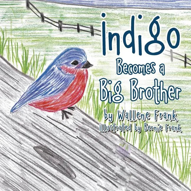 Indigo Becomes a Big Brother - Paperback